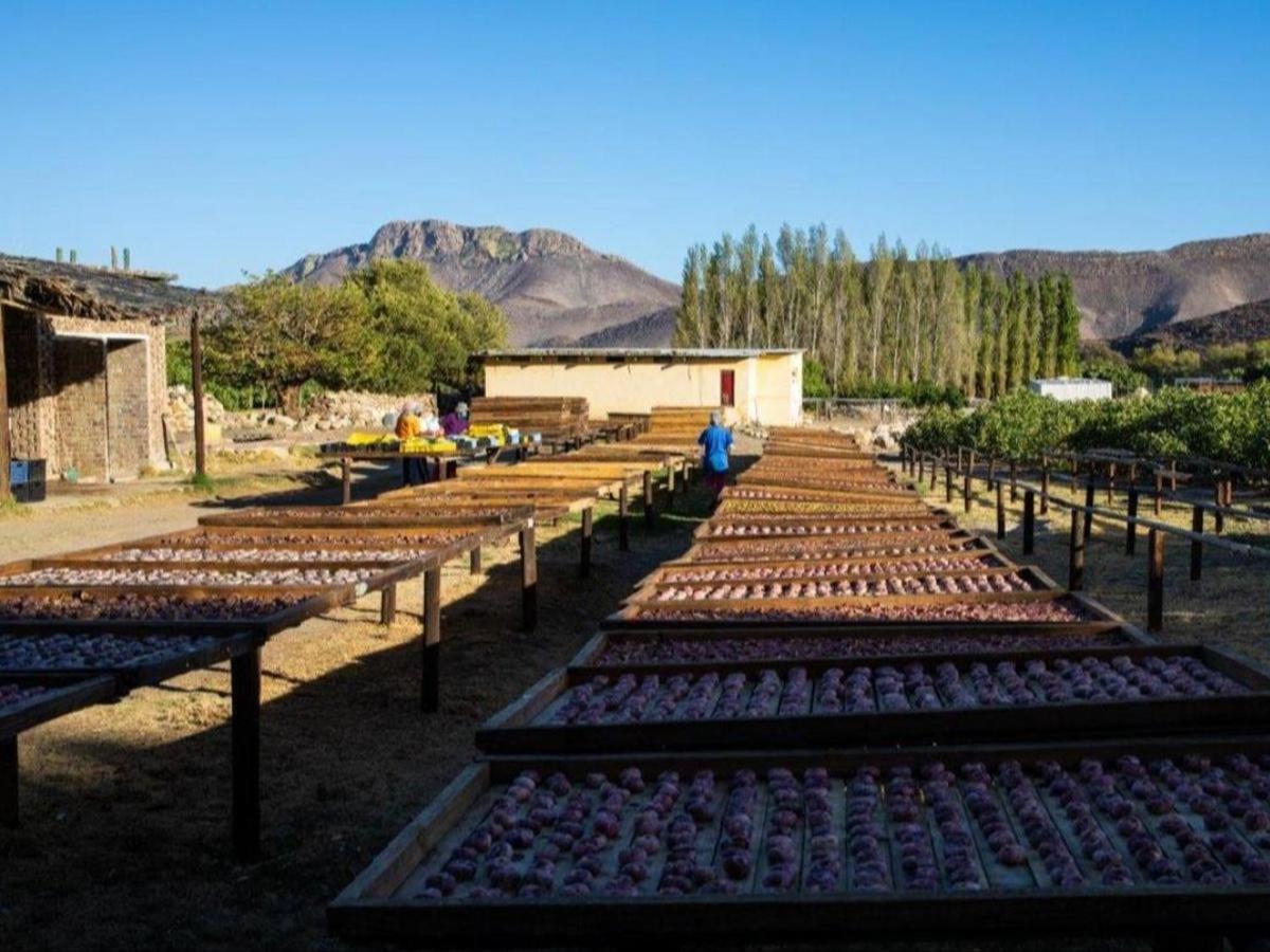 Weltevrede Fig Farm Apartamento Prince Albert Exterior foto