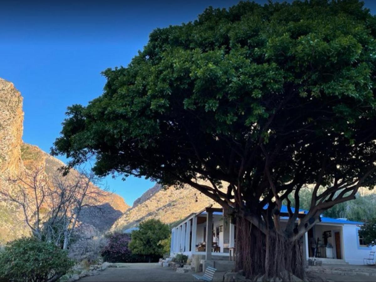 Weltevrede Fig Farm Apartamento Prince Albert Exterior foto